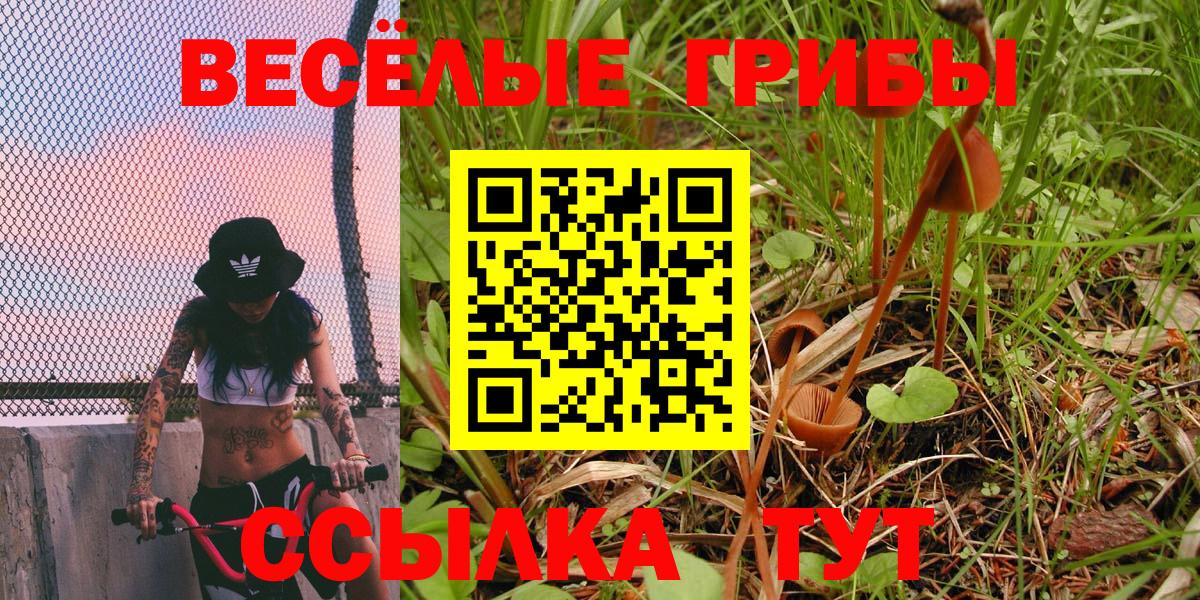 Галлюциногенные грибы мицелий  Вход с VPN  Печора  Псилоцибиновые грибы мухоморы 